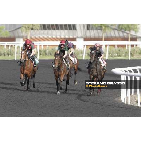 Morning track works - So You Think and Aidan O\'Brien team Dubai, Meydan racecourse - 30th march 2012 ph.Stefano Grasso