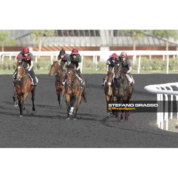 Morning track works - So You Think and Aidan O\'Brien team Dubai, Meydan racecourse - 30th march 2012 ph.Stefano Grasso