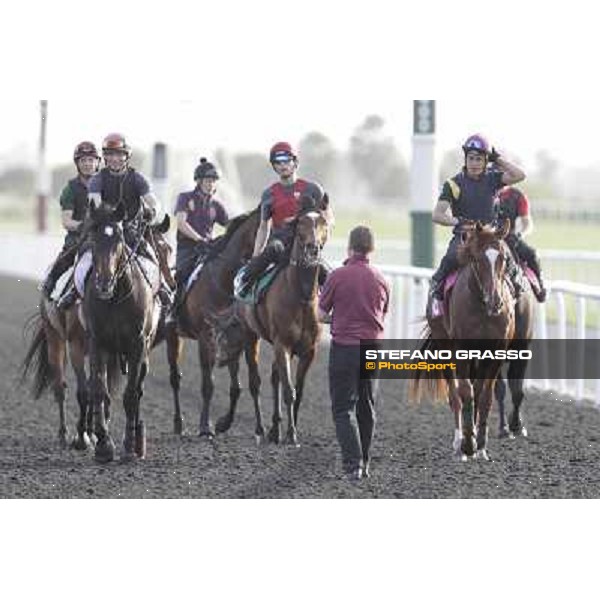 Morning track works - So You Think and Aidan O\'Brien team Dubai, Meydan racecourse - 30th march 2012 ph.Stefano Grasso