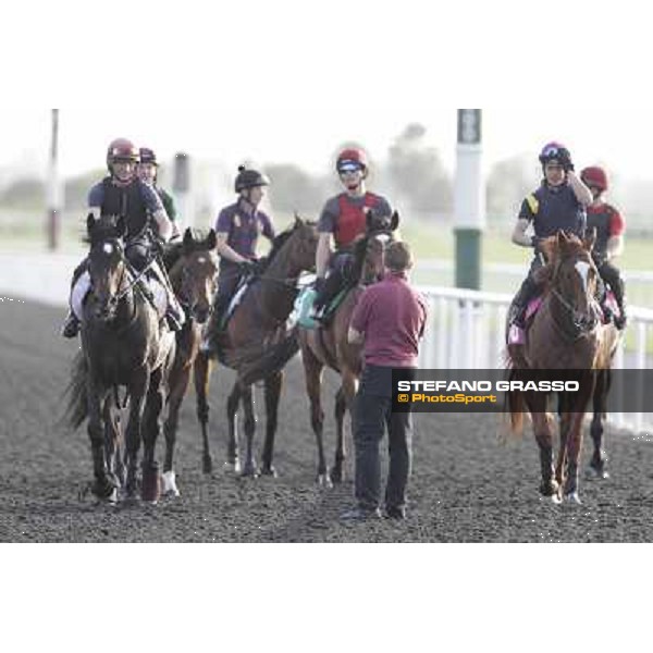 Morning track works - So You Think and Aidan O\'Brien team Dubai, Meydan racecourse - 30th march 2012 ph.Stefano Grasso