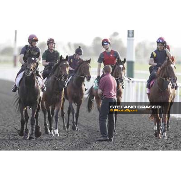 Morning track works - So You Think and Aidan O\'Brien team Dubai, Meydan racecourse - 30th march 2012 ph.Stefano Grasso