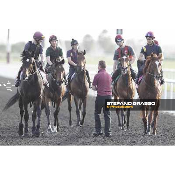 Morning track works - So You Think and Aidan O\'Brien team Dubai, Meydan racecourse - 30th march 2012 ph.Stefano Grasso