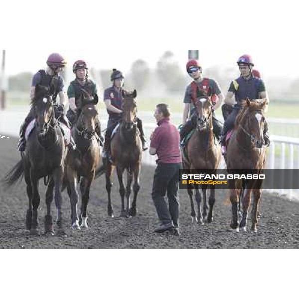 Morning track works - So You Think and Aidan O\'Brien team Dubai, Meydan racecourse - 30th march 2012 ph.Stefano Grasso