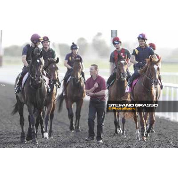 Morning track works - So You Think and Aidan O\'Brien team Dubai, Meydan racecourse - 30th march 2012 ph.Stefano Grasso