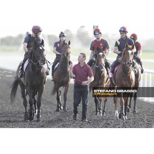 Morning track works - So You Think and Aidan O\'Brien team Dubai, Meydan racecourse - 30th march 2012 ph.Stefano Grasso