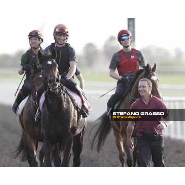 A path for So You Think after morning track works Dubai, Meydan racecourse - 30th march 2012 ph.Stefano Grasso