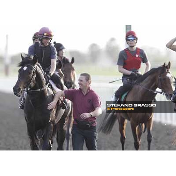 A path for So You Think after morning track works Dubai, Meydan racecourse - 30th march 2012 ph.Stefano Grasso