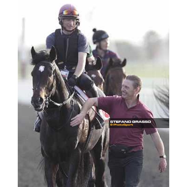 A path for So You Think after morning track works Dubai, Meydan racecourse - 30th march 2012 ph.Stefano Grasso