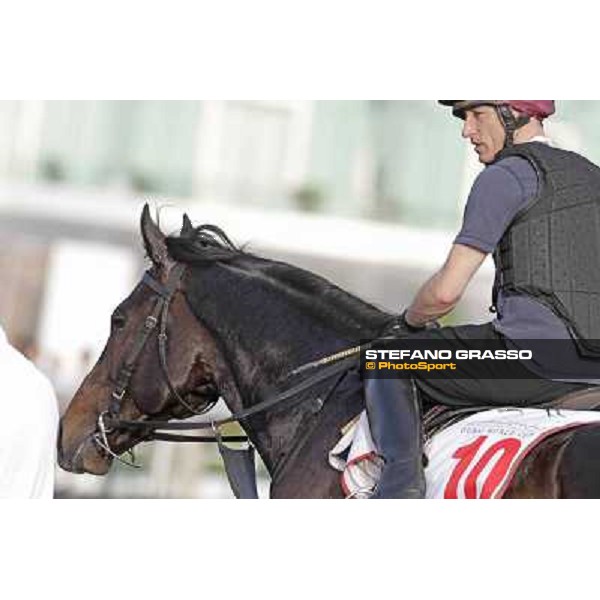 Morning track works - So You Think Dubai, Meydan racecourse - 30th march 2012 ph.Stefano Grasso