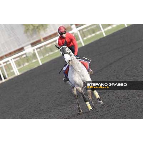 Secret Asset Morning track works Dubai, Meydan racecourse - 30th march 2012 ph.Stefano Grasso