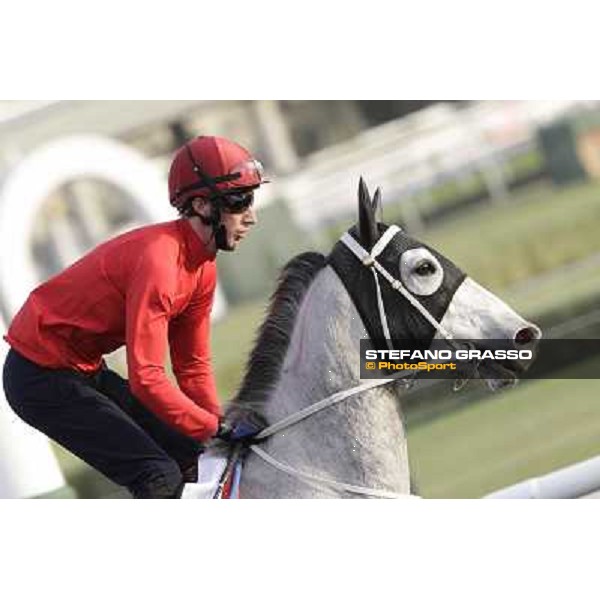 Secret Asset Morning track works Dubai, Meydan racecourse - 30th march 2012 ph.Stefano Grasso