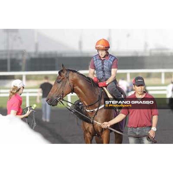 Rocket Man Morning track works Dubai, Meydan racecourse - 30th march 2012 ph.Stefano Grasso