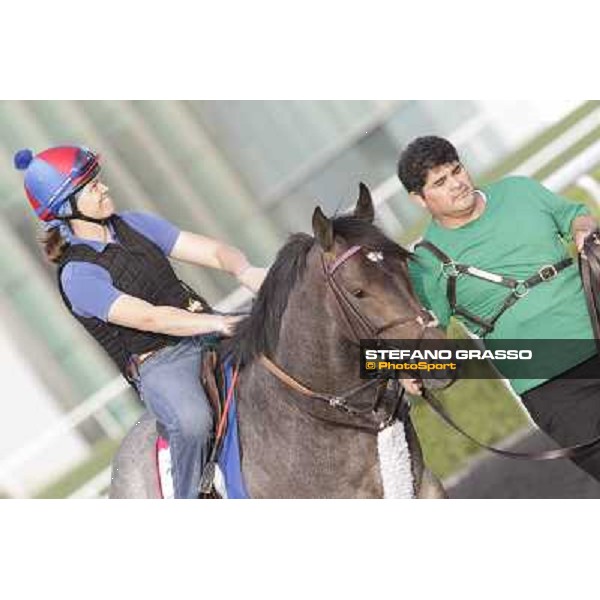 Lucky Chappy Morning track works Dubai, Meydan racecourse - 30th march 2012 ph.Stefano Grasso