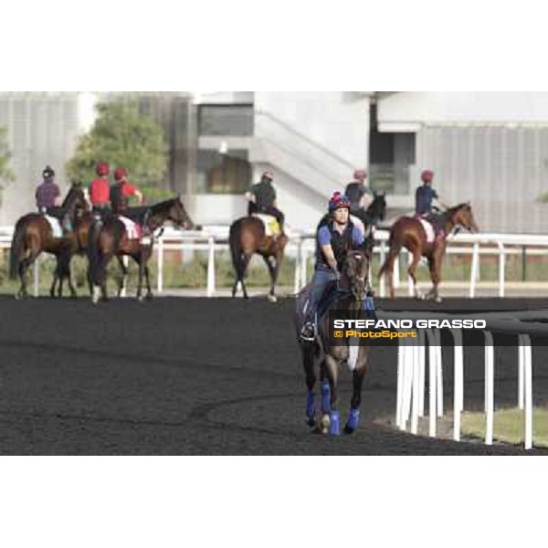 Lucky Chappy Morning track works Dubai, Meydan racecourse - 30th march 2012 ph.Stefano Grasso
