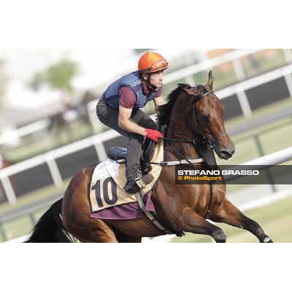 Rocket Man Morning track works Dubai, Meydan racecourse - 30th march 2012 ph.Stefano Grasso