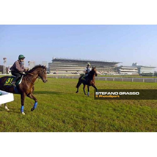 Membership and (rt) Warrsan at Fuchu racecourse today 24-11-04 pic Bill Selwyn