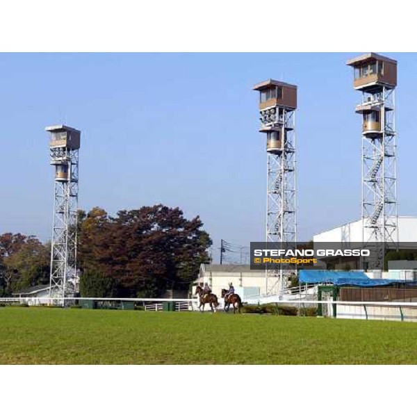 Clive Brittains Membersip and Warrsan (rt) at Fuchu racecourse today pic Bill Selwyn 24-11-04