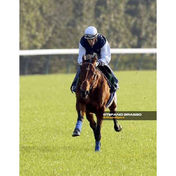 Warrsan and Fallon stretch out at Fuchu racecourse today 25-11-04