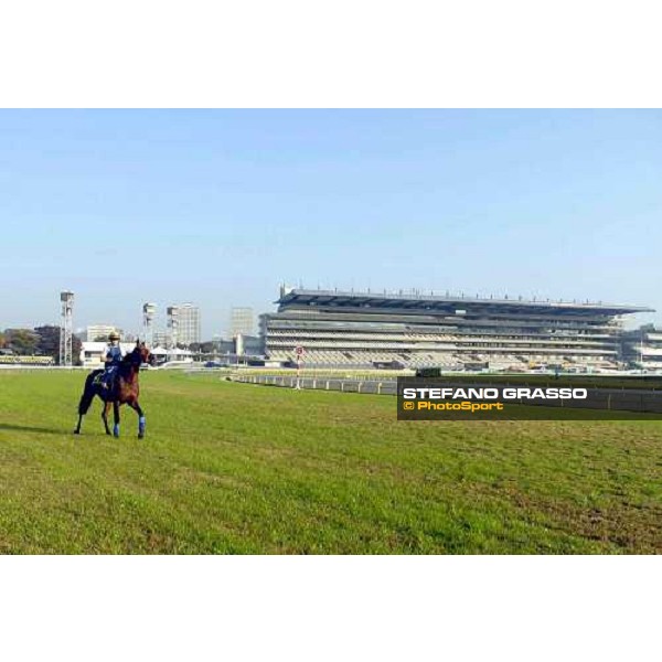 THe half built Fuchu stand is the backdrop to Warrsan\'s (left) arrival on the track pic Bill Selwyn 24-11-04