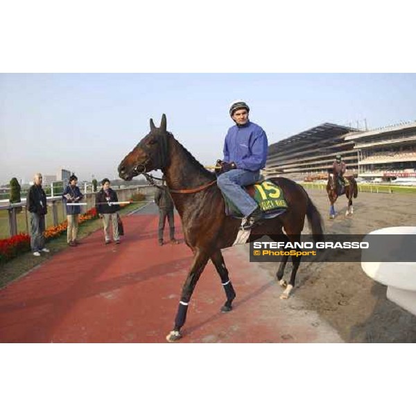 French raider, Policy Maker at Fuchu 26-11-04 pic Bill Selwyn