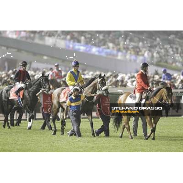 Master of Hounds and Eishin Flash before the start of the Dubai World Cup Dubai - Meydan racecourse 31st march 2012 ph.Stefano Grasso