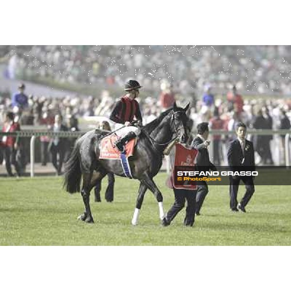 Eishin Flash before the start of the Dubai World Cup Dubai - Meydan racecourse 31st march 2012 ph.Stefano Grasso