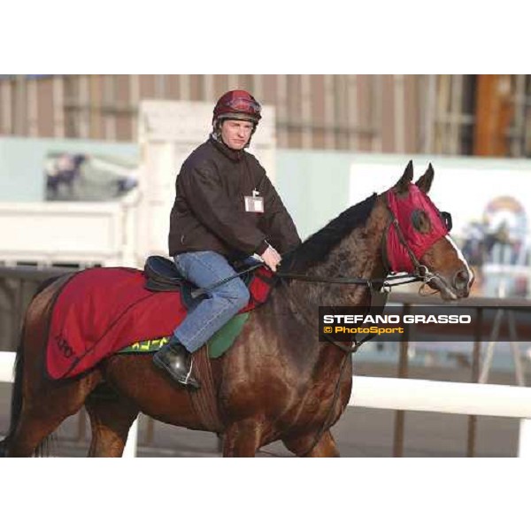 Powerscourt and Seamus Heffernan at Fuchu racecourse today 26-11-04 pic Bill Selwyn