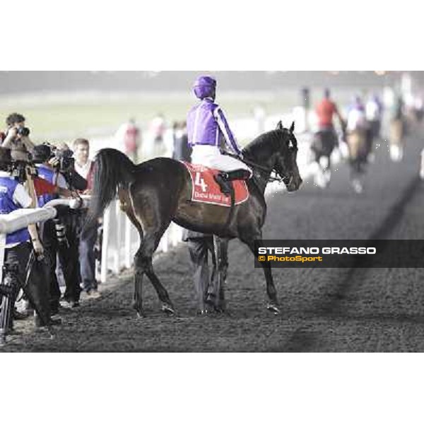 Joseph O\'Brien on So You Think before the start of the Dubai World Cup Dubai - Meydan racecourse 31st march 2012 ph.Stefano Grasso