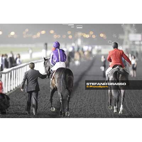 Joseph O\'Brien on So You Think before the start of the Dubai World Cup Dubai - Meydan racecourse 31st march 2012 ph.Stefano Grasso