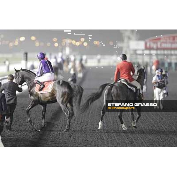 Joseph O\'Brien on So You Think before the start of the Dubai World Cup Dubai - Meydan racecourse 31st march 2012 ph.Stefano Grasso