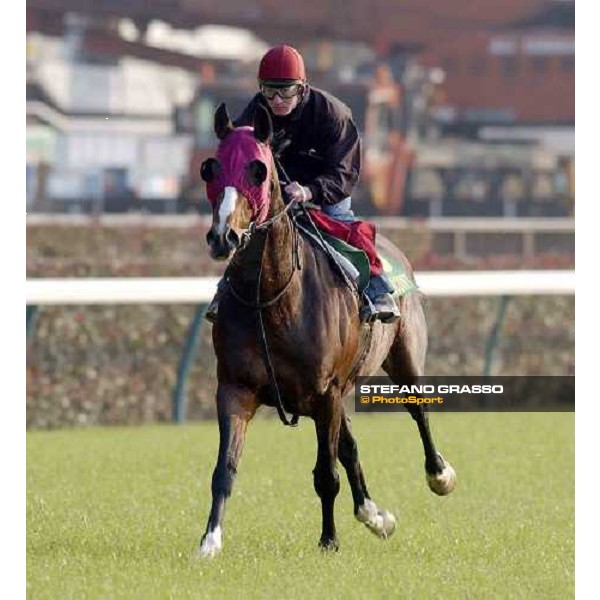 Powerscourt is ready for the Japan Cup on Sunday, seen here workig under Seamus Heffernan pic Bill Selwyn 26-11-04