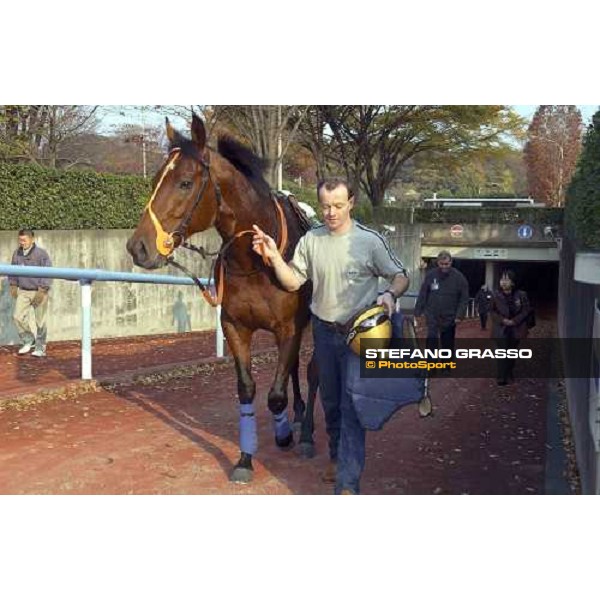 Trainer Clive Brittain (behind rt) groom and work rider Des Reap and Warrsan himself all appear relaxed ahead of Sunday\'s Japan Cup. Pic Bill Selwyn 26-11-04