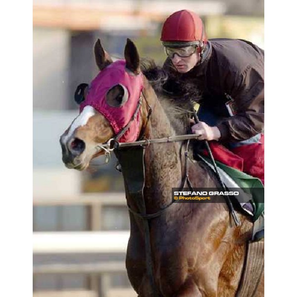 Powerscourt and Seamus Heffernan at Fuchu this morning. It was the 1st time the blinkers were fitted in the build ip to the big race. The horse will be wearing them on Sunday. Big race jockey Jamie Spencer flies in tonight 26-11-04 Pic Bill Selwyn 26-11-0