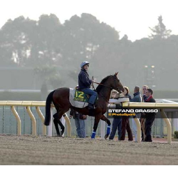 Stephen Woolley and Phoenix Reach finish work at Fuchu this morning. pic Bill Selwyn 26-11-04