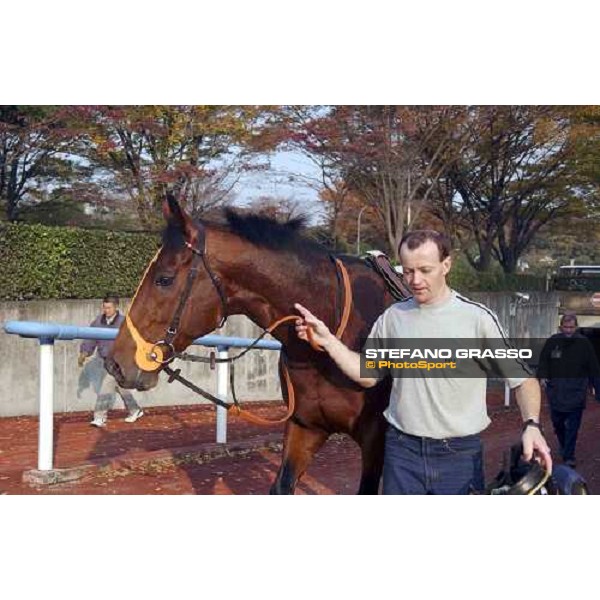 There\'s no hiding the confidence behind Warrsan\'s Japan cup challenge as Des Reap leads him out of a tunnell following morning work at Fuchu. Behind right is Clive Brittain pic Bill Selwyn 26-11-04