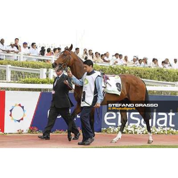 Dubai World Cup Dubai - Meydan racecourse 31st march 2012 ph.Stefano Grasso