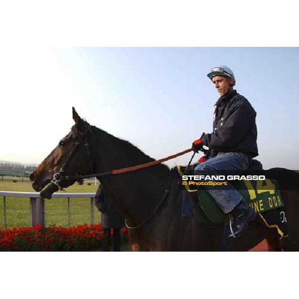 Lune D\'Or at Fuchu this morning Pic Bill Selwyn 26-11-04
