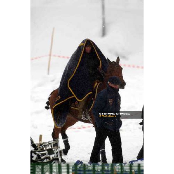 Cortina winter polo Cup 2004 Lake of Misurina febr. 21 2004 ph.Stefano Grasso