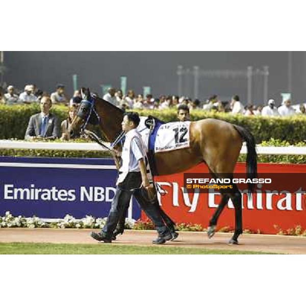 Dubai World Cup Dubai - Meydan racecourse 31st march 2012 ph.Stefano Grasso