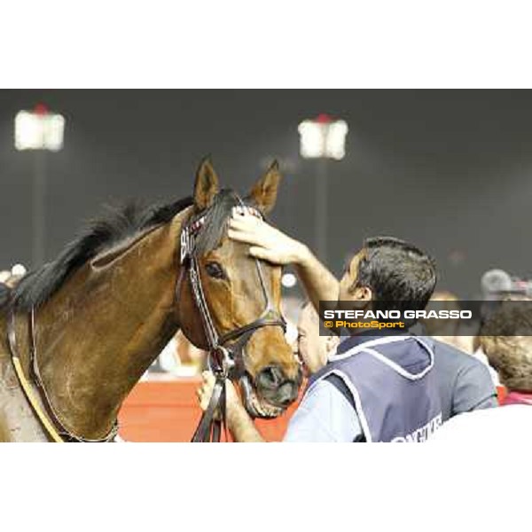 Dubai World Cup Dubai - Meydan racecourse 31st march 2012 ph.Stefano Grasso