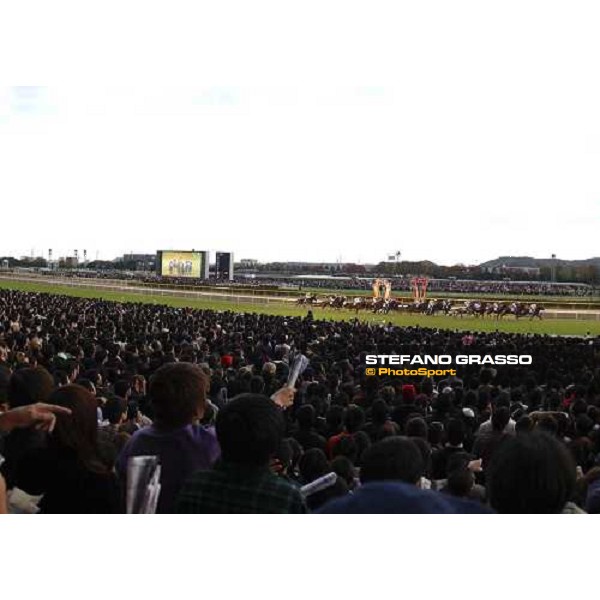 In front of a crowd over 100,000. The Japan cup field, approaching the first Bend and Powerscourt is 2nd from last (blue, pink cap) pic Bill Selwyn