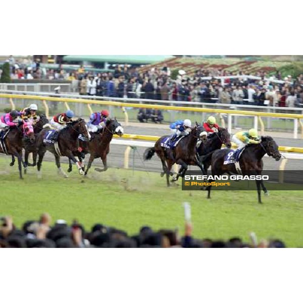 Zenno Ro Roy wins the Japan Cup whilst Policy Maker (blue cols, and noseband) does best of the Europeans in 4th with Phoenix Reach (also nosebanded and blinkered) ran well in 6th pic Bill Selwyn 28-11-04