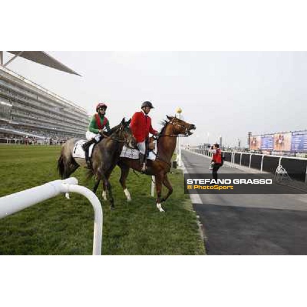 Dubai World Cup Dubai - Meydan racecourse 31st march 2012 ph.Stefano Grasso