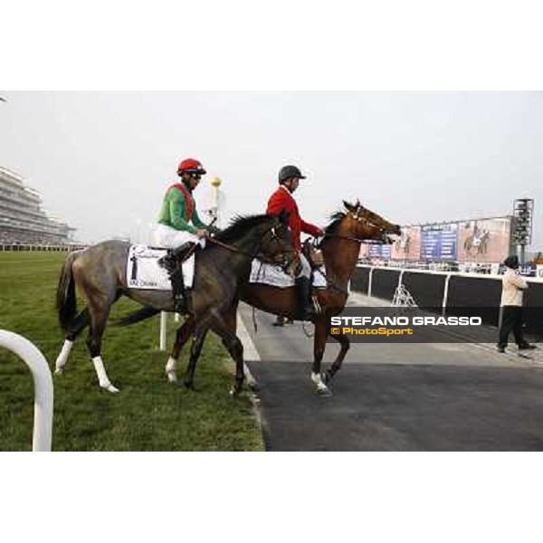 Dubai World Cup Dubai - Meydan racecourse 31st march 2012 ph.Stefano Grasso