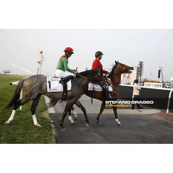 Dubai World Cup Dubai - Meydan racecourse 31st march 2012 ph.Stefano Grasso