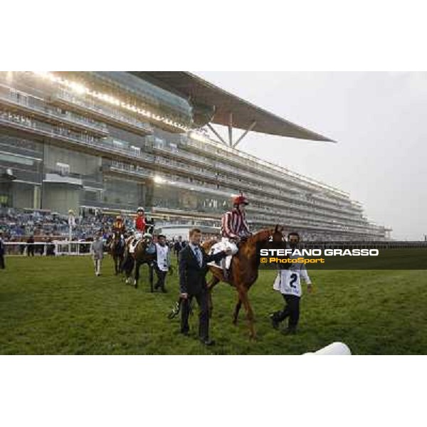 Dubai World Cup Dubai - Meydan racecourse 31st march 2012 ph.Stefano Grasso