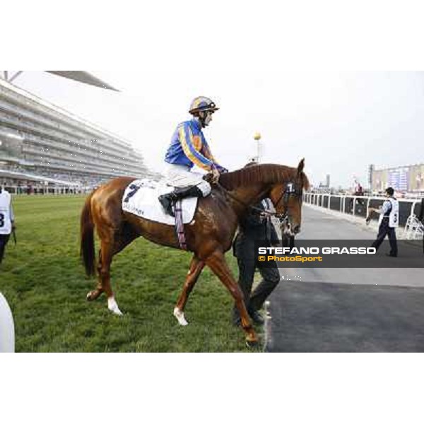 Dubai World Cup Dubai - Meydan racecourse 31st march 2012 ph.Stefano Grasso