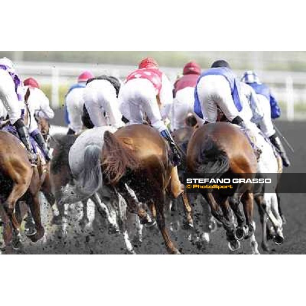 Dubai World Cup Dubai - Meydan racecourse 31st march 2012 ph.Stefano Grasso