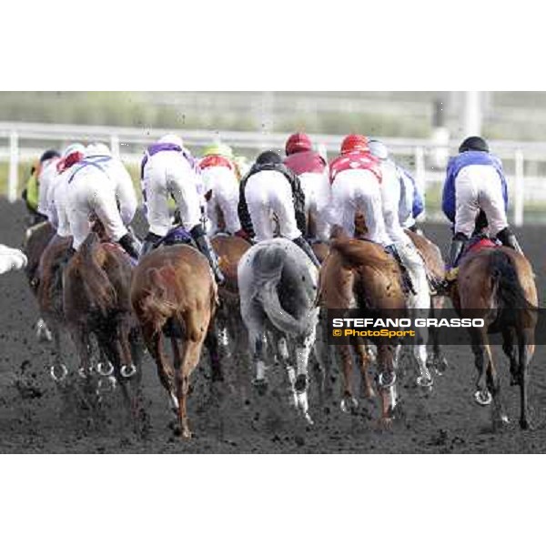 Dubai World Cup Dubai - Meydan racecourse 31st march 2012 ph.Stefano Grasso