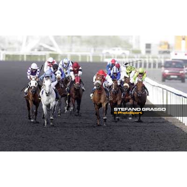 Dubai World Cup Dubai - Meydan racecourse 31st march 2012 ph.Stefano Grasso